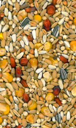 Koolhydraat- en vetrijke mengeling met veel granen en zaden