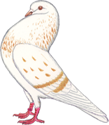 Gelderse slenk, tekening van J. de Jong (2009)