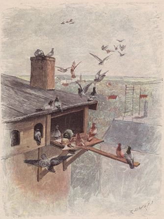 De duiventil, tekening van R. Weihe (1895)